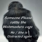 Please rattle the webmaster's cage